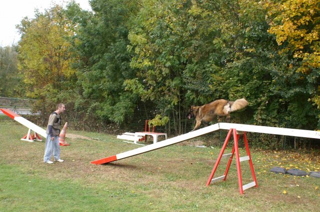 agility 2011-10-30